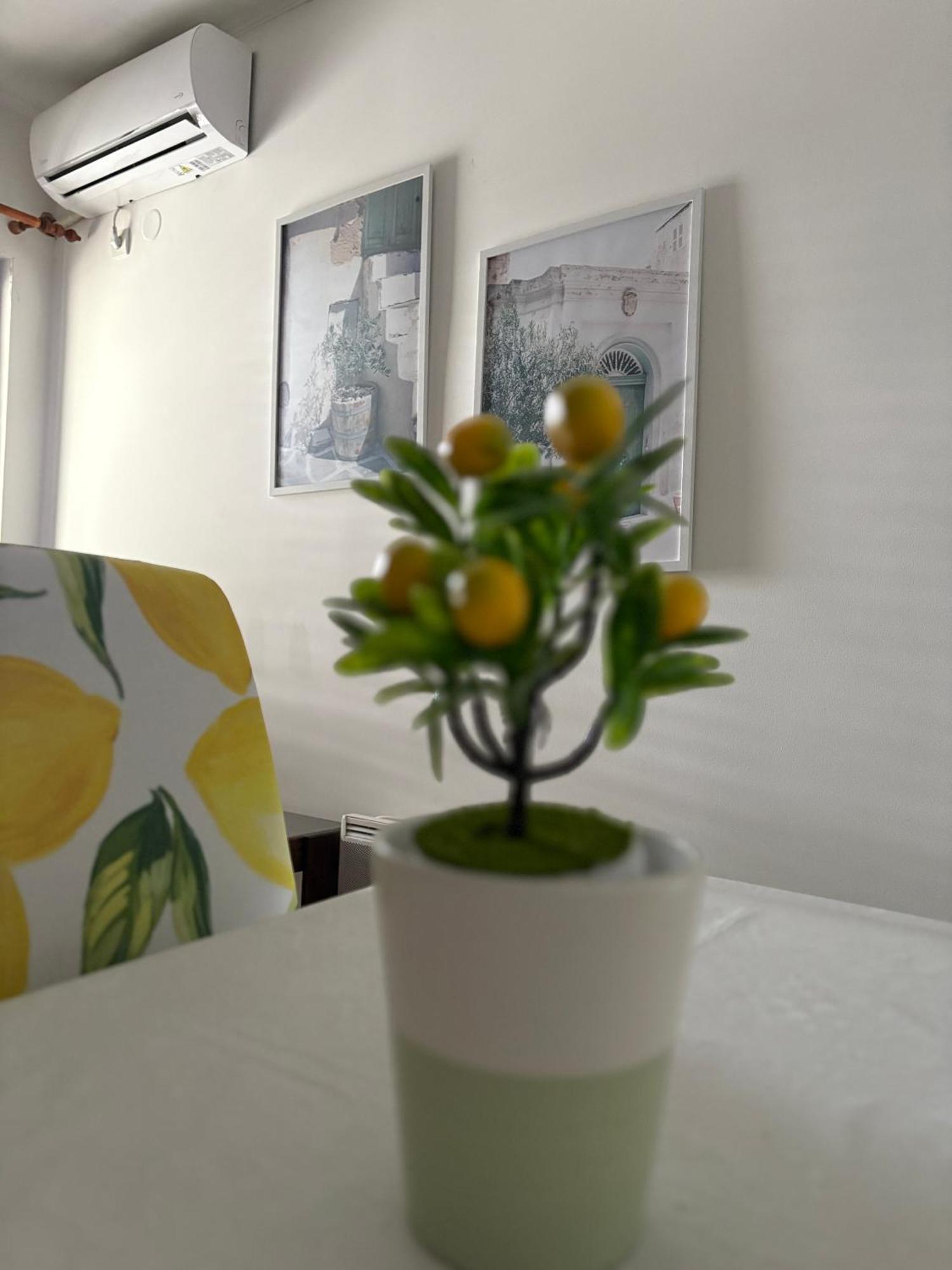 Apartments แฮร์เซ็ก-โนวี ห้อง รูปภาพ